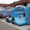 img_7155